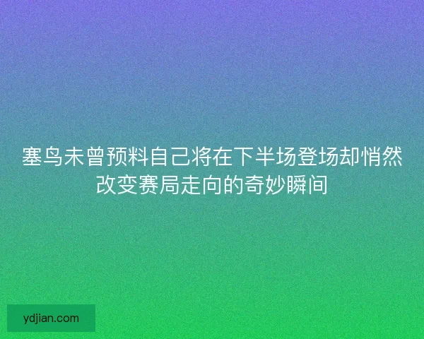 塞鸟未曾预料自己将在下半场登场却悄然改变赛局走向的奇妙瞬间