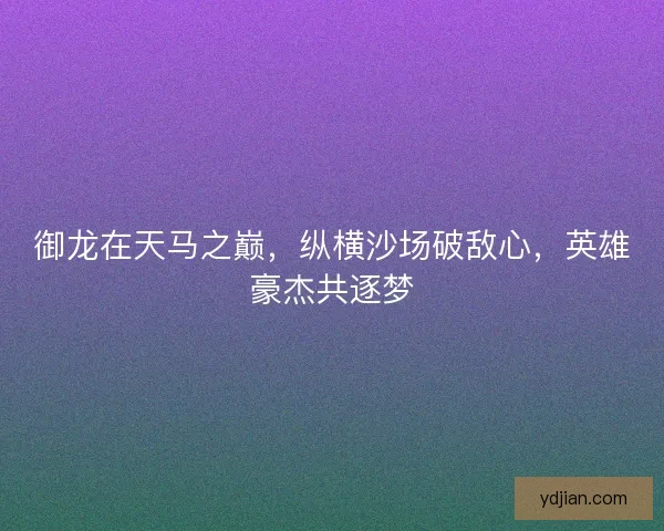 御龙在天马之巅，纵横沙场破敌心，英雄豪杰共逐梦
