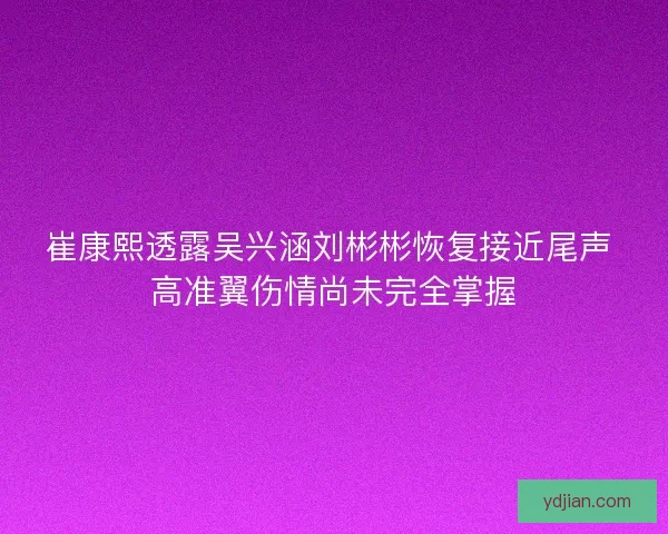 崔康熙透露吴兴涵刘彬彬恢复接近尾声 高准翼伤情尚未完全掌握